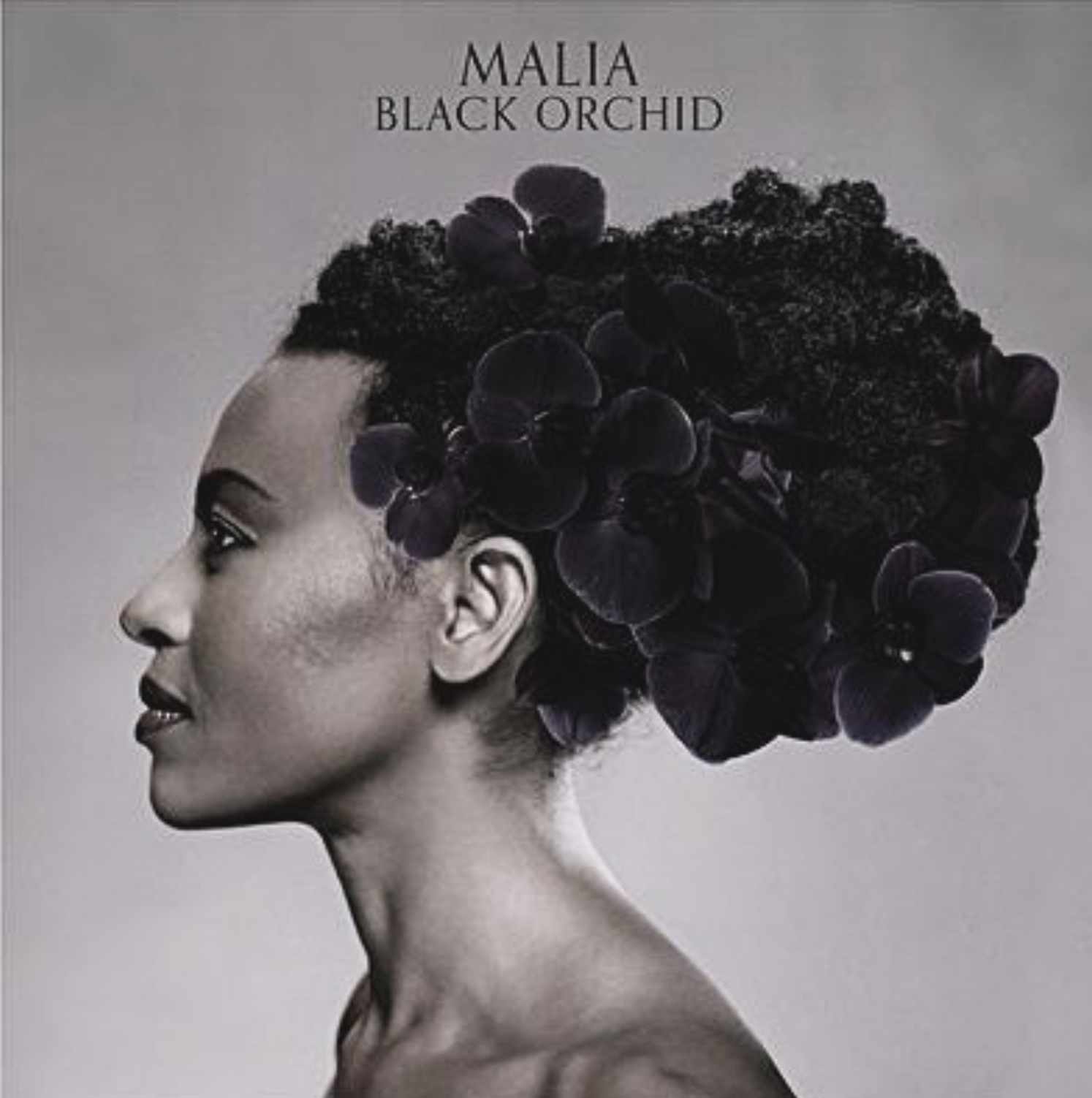 Malia — Black Orchid Malia — Black Orchid